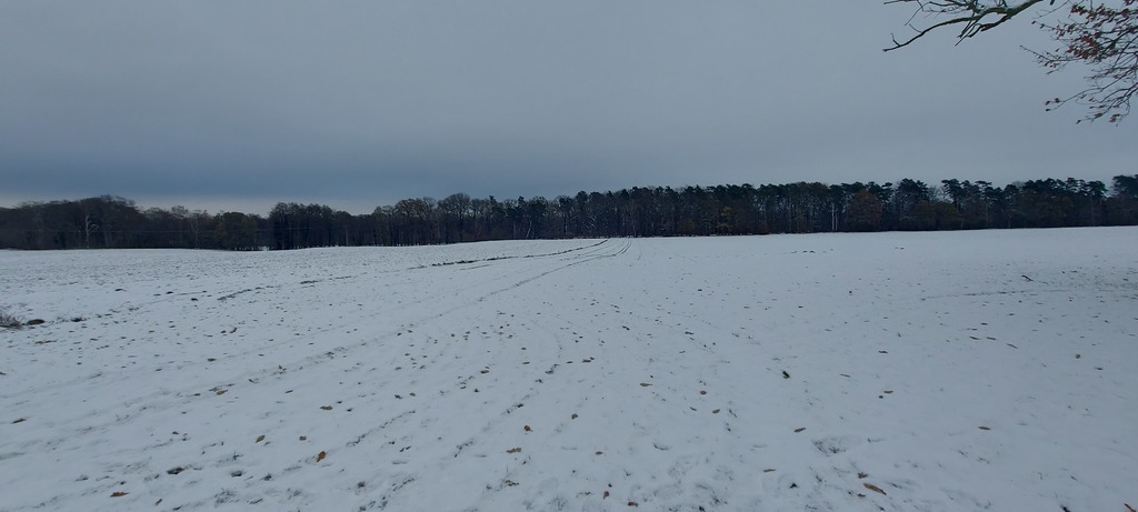 Działka przy Jeziorze Budzieszowskim 1,7 ha (3)