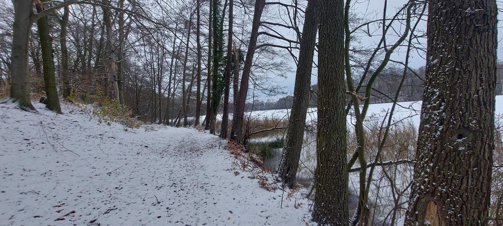 Działka przy Jeziorze Budzieszowskim 1,7 ha (5)