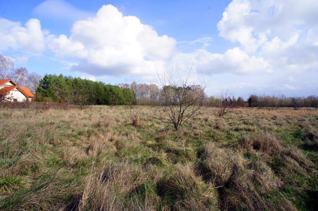 Działka rolno-budowlana o pow. 1073 m 2 (4)