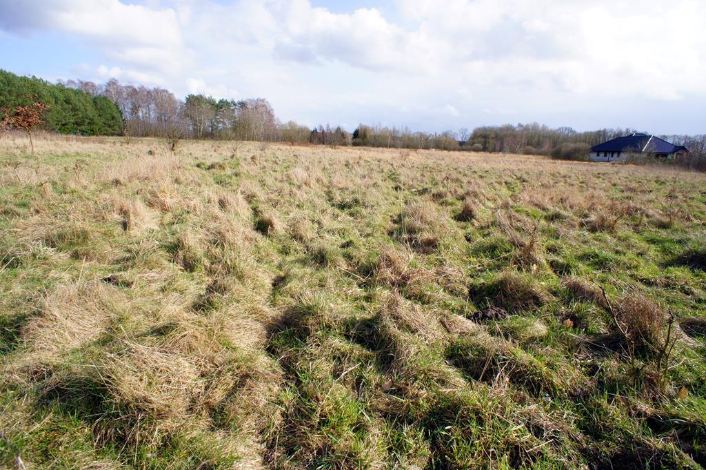 Działka rolno-budowlana o pow. 1073 m 2 (5)