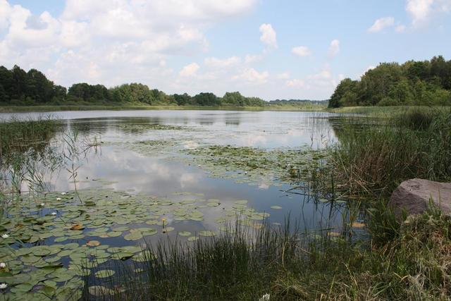 Kupuj taniej działki rekreacyjne (17)