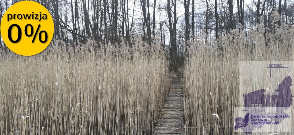 Działka nad jeziorem Woświn (3)