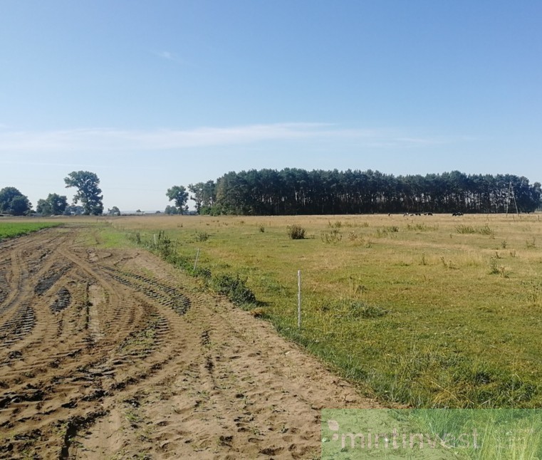 Działka pod zabudowę jednorodzinną-50 tys. taniej (1)