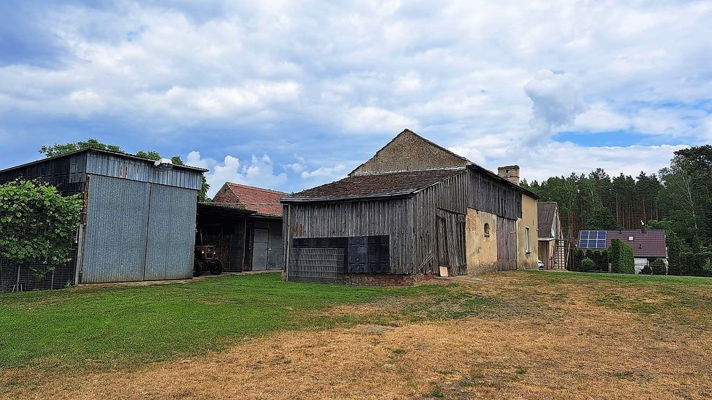 Gospodarstwo, działka 9300m2, Dom 91 m2 + budynki (11)