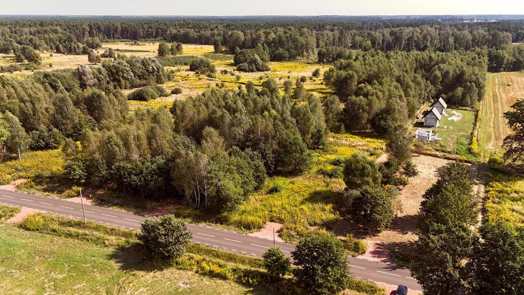 Działka  pod zabudowę pod Goleniowem/ Żółwia Błoć (9)