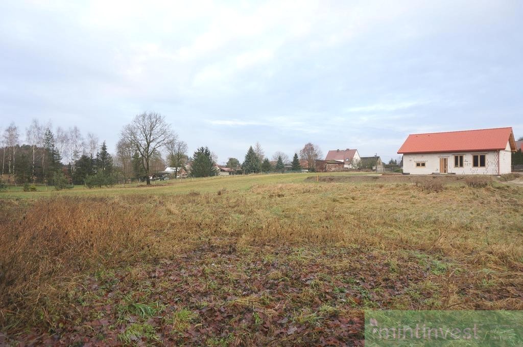 Działka budowlana na sprzedaż - Motaniec (3)