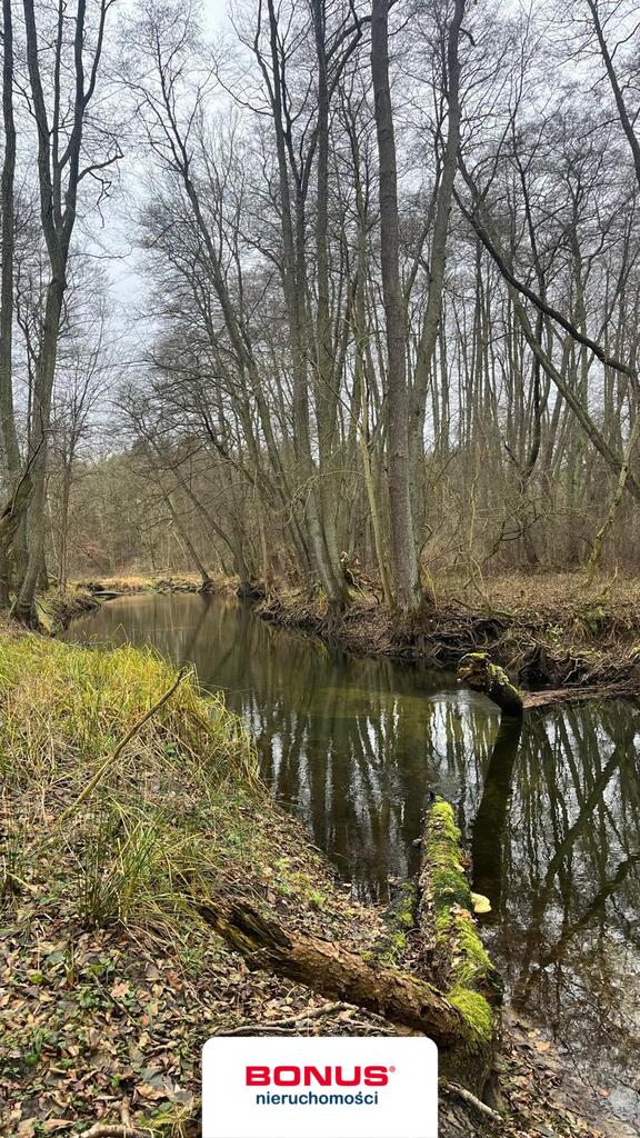 Działka na turystykę z dostępem do rzeki Płonia (6)