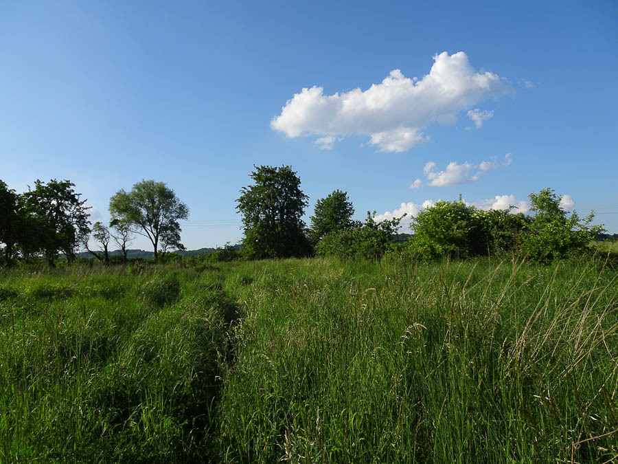 Binowo działka blisko jeziora, 1962 m2 150 zł/m2 (3)