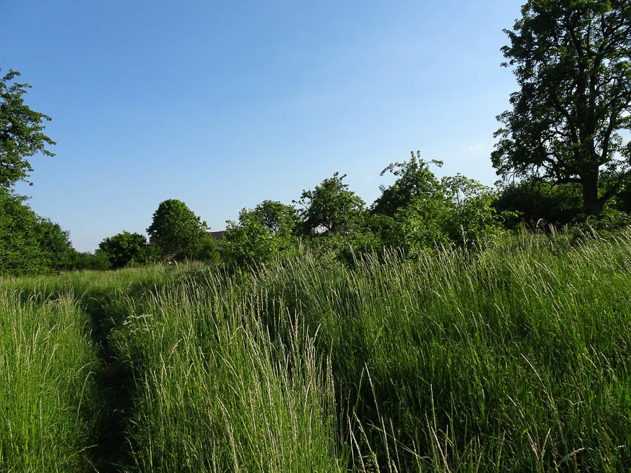 Binowo działka blisko jeziora, 1962 m2 150 zł/m2 (11)