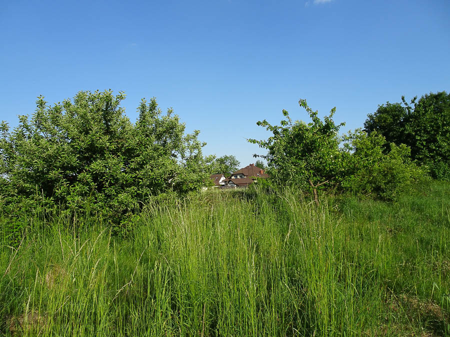 Binowo działka blisko jeziora, 1962 m2 150 zł/m2 (14)