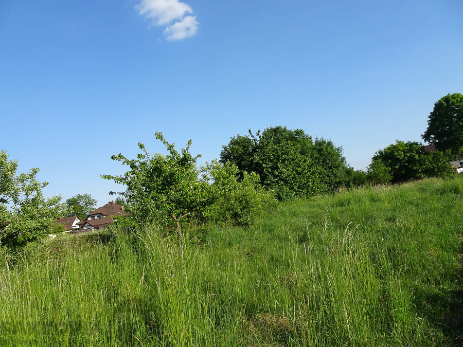 Binowo działka blisko jeziora, 1962 m2 150 zł/m2 (15)