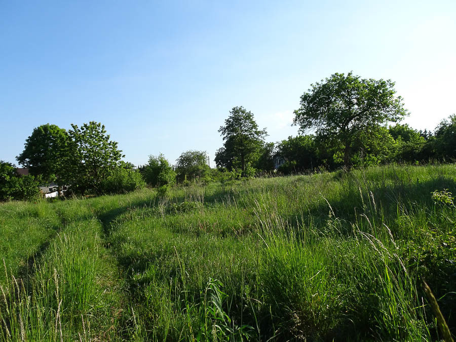 Binowo działka blisko jeziora, 1962 m2 150 zł/m2 (16)