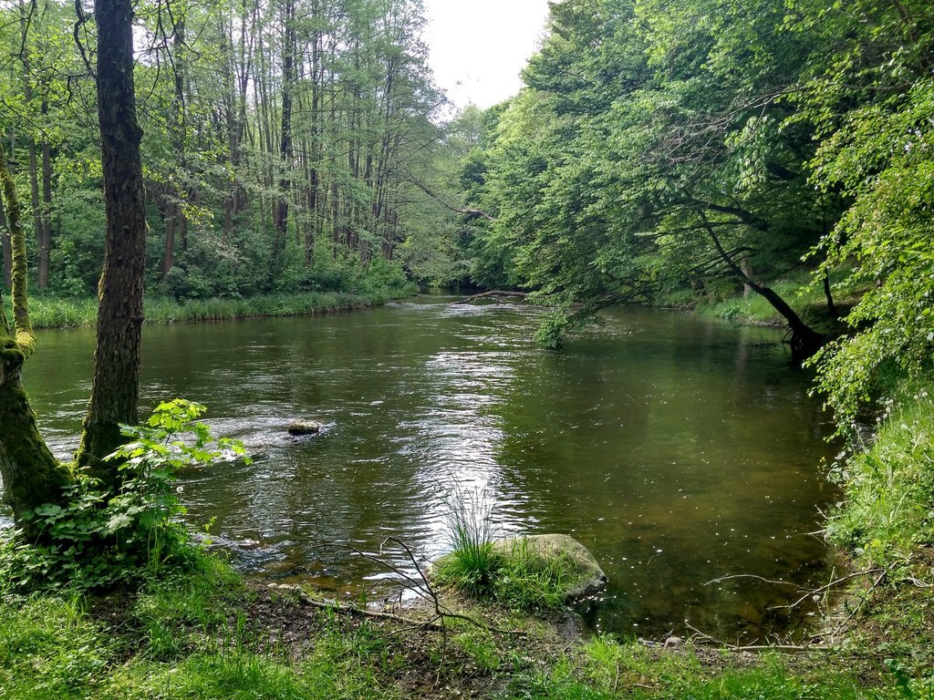 DZIAŁKA  BUDOWLANA NAD DRAWĄ (1)