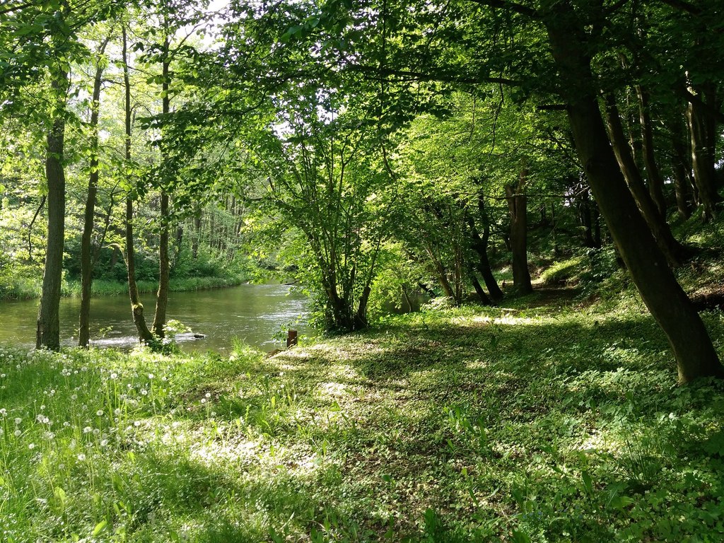 DZIAŁKA  BUDOWLANA NAD DRAWĄ (2)