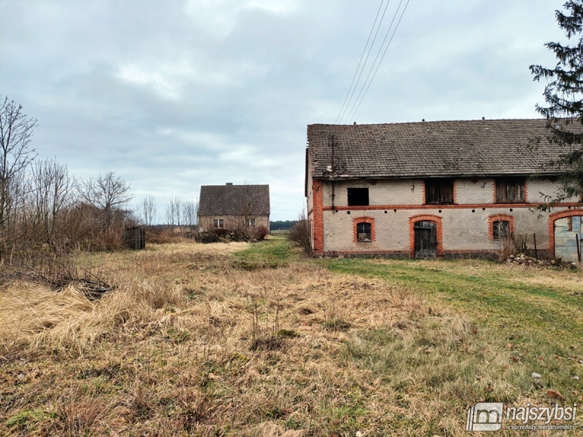 DOM POD STARYM DĘBEM - DZIAŁKA 7500 m2! (12)