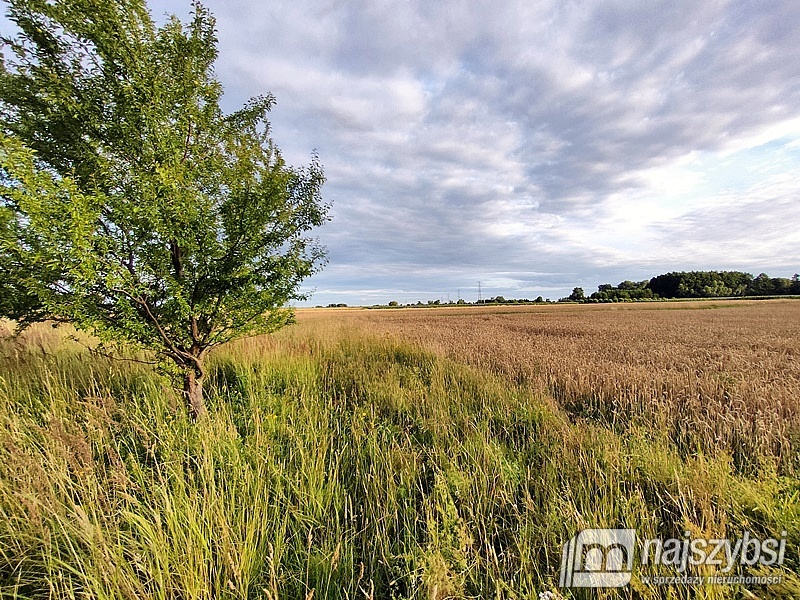 DZIAŁKA ROLNA - 2352 m2 (11)