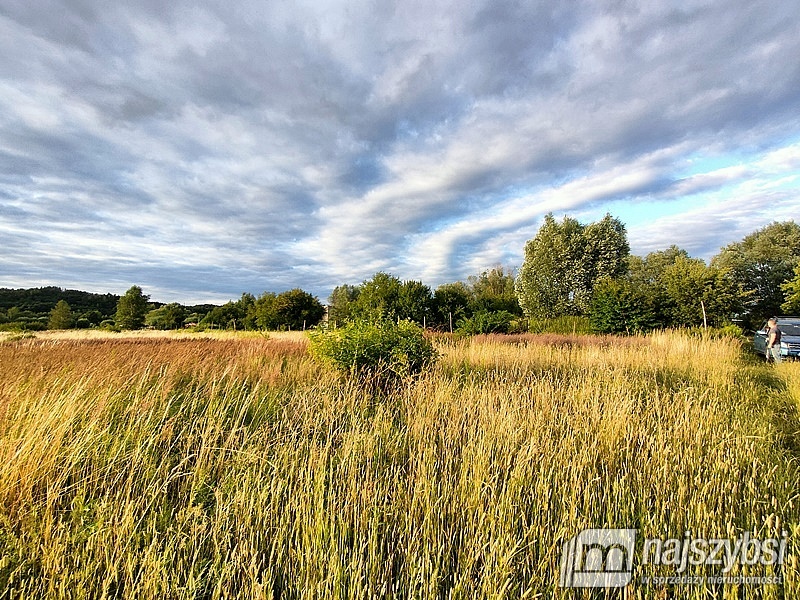 DZIAŁKA ROLNA - 2352 m2 (4)