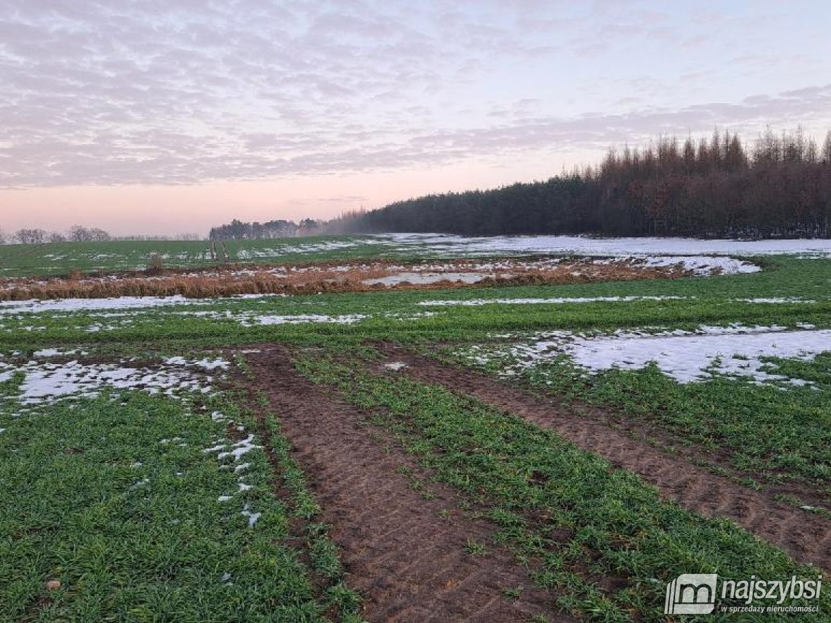 WĘGORZYCE-ZIEMIA ROLNA, INWESTYCYJNA 13 HA (7)