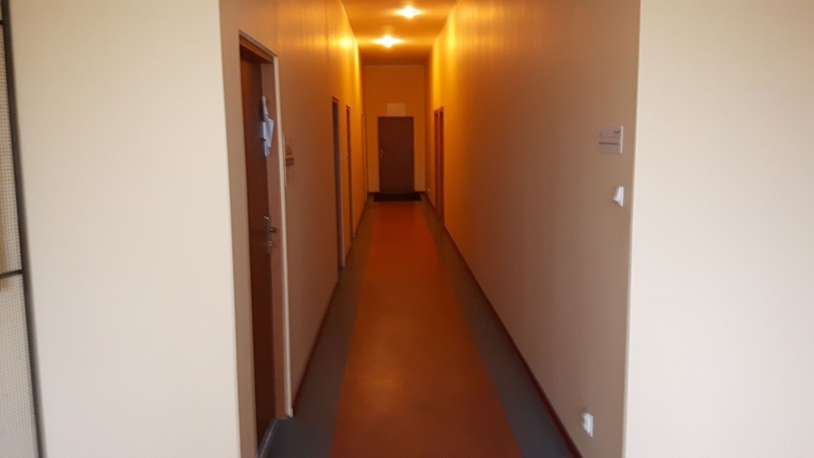 Obiekt, 560 m2, Szczecin Śródmieście (9)