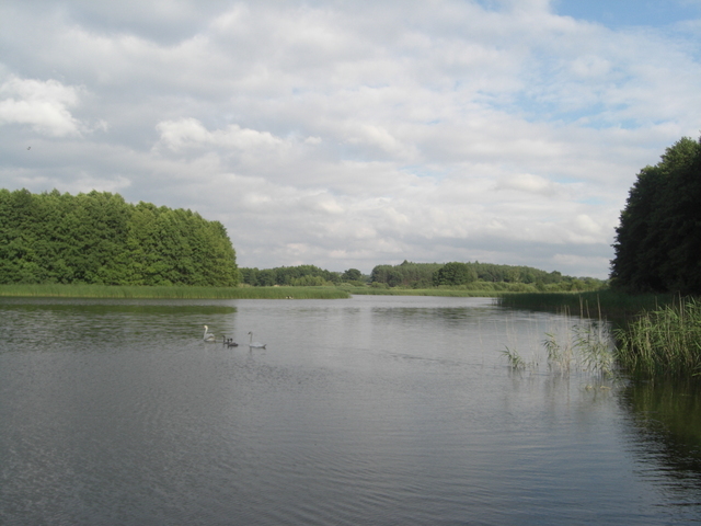 Działka, 7,800 m2, Nętno  (10)